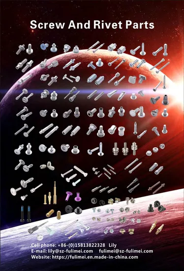 The Factory Custom OEM Precision Automatic Lathing Lock Spring Toggle Bolts