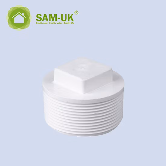 PVC Plastic Screw Cap NPT Bsp Threaded Plug