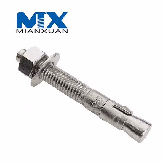 Stainless Steel Carriage Bolt Hex Bolt U Bolt Through Bolt Wedge Anchor