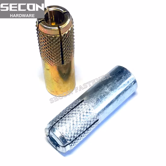 Stainless Steel 304 Drop in Anchor Made in China